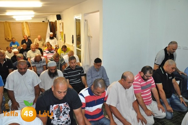 trawe7 fate7 mosque 715 (26).JPG